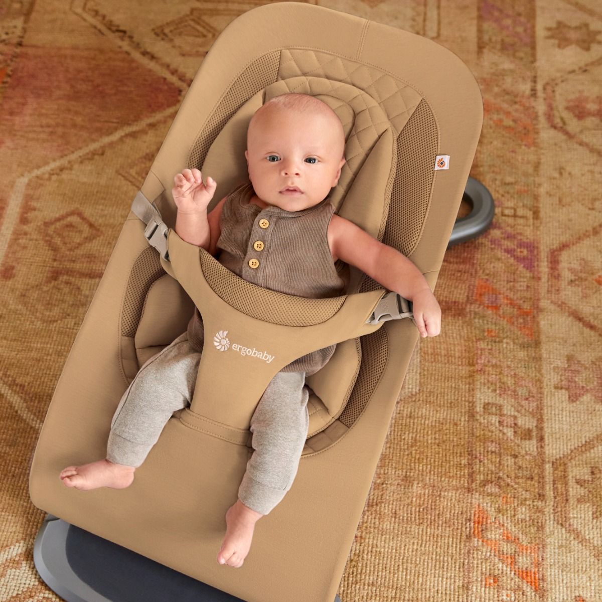 Ergobaby Evolve Bouncer