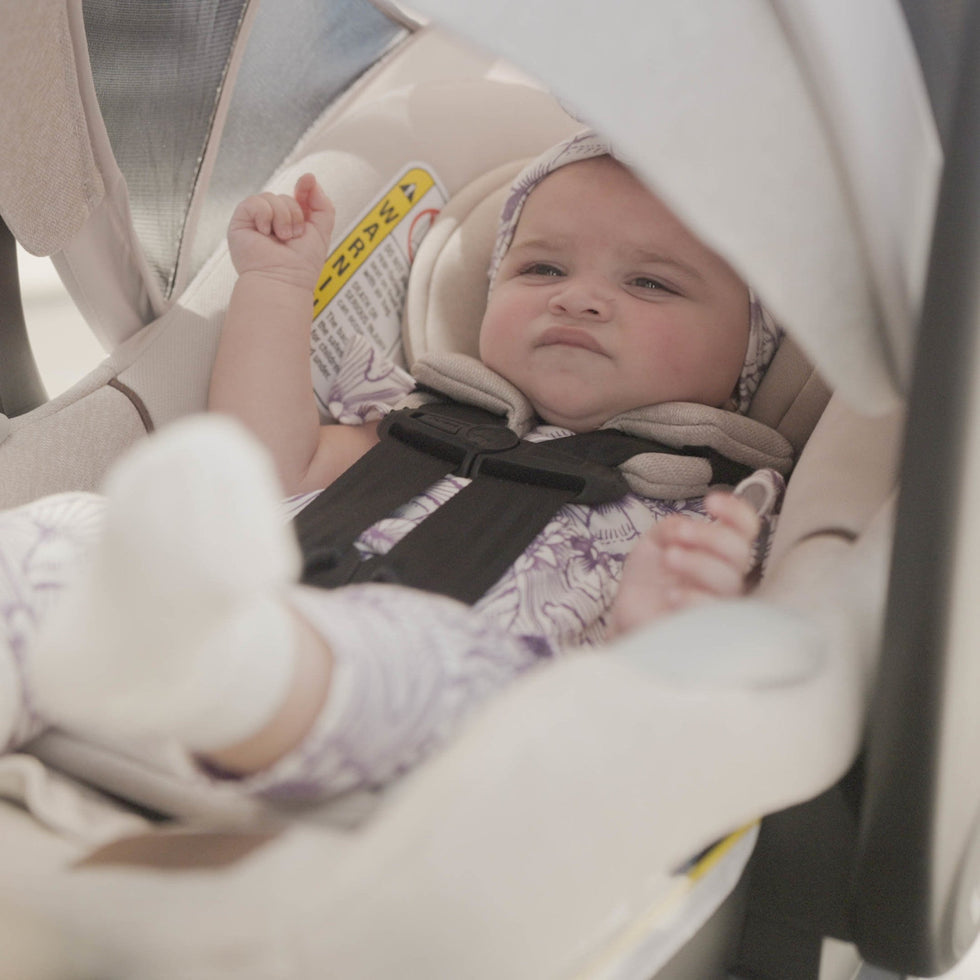Maxi-Cosi Tayla Max Travel system